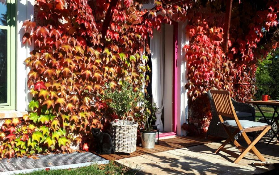 Apartmany Ruprechtov Hroznetin Exterior foto